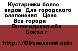 Кустарники более 100 видов. Для городского озеленения › Цена ­ 70 - Все города  »    . Вологодская обл.,Сокол г.